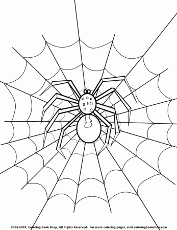 Coloring picture of spider
