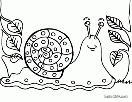 Snail Coloring Pages Printable Snail Coloring Pages Printable 