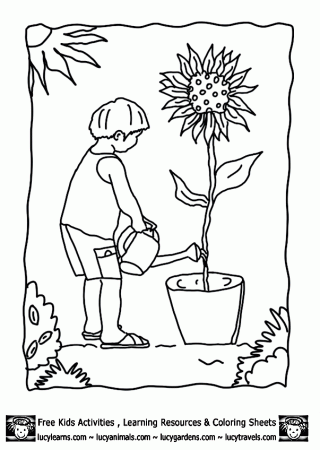 Coloring Picture Bag of Potato,Lucys Vegetable Coloring Pages 