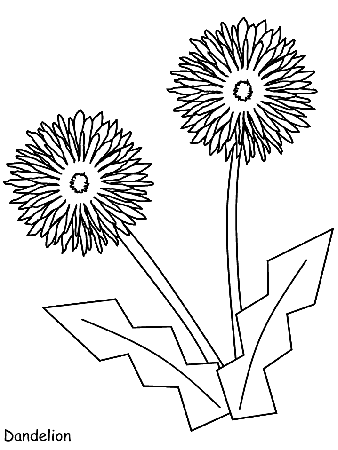 Printable Dandelion Flowers Coloring Page | Coloring Pages 4 Free