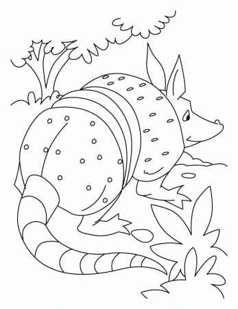 Armadillo playing role of rat coloring pages | Download Free 