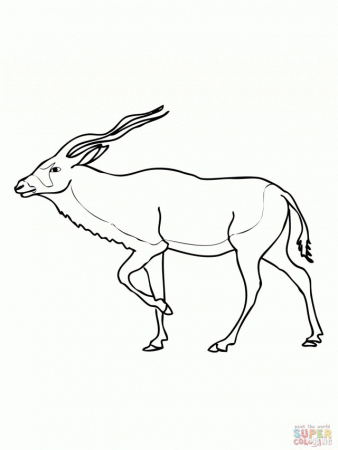 Addax Antelope Coloring Online Super Coloring 147850 Antelope 