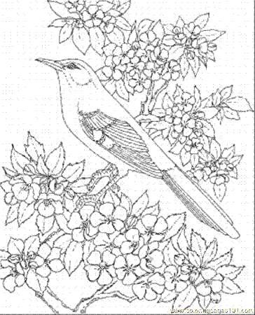 Coloring Pages Mockingbird Of Arkansas (Countries > USA) - free 