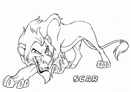 Baby Lion Colouring Pages Page 3 172433 Lion Coloring Pages For Kids