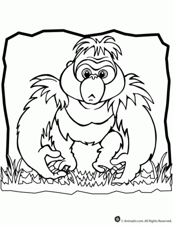 Dibujos de gorilas | GORILAPEDIA