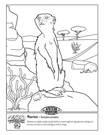 Meerkat Colouring Pages (page 2)