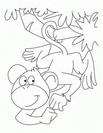 Spider monkey coloring pages | Download Free Spider monkey 