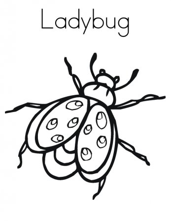 Free-Ladybug-Coloring-PagesFree coloring pages for kids | Free 