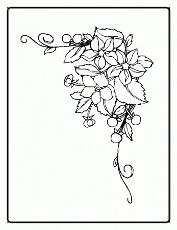 printable Flowers Coloring | Printable Coloring Pages