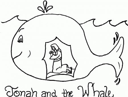 orca whale coloring pages | Coloring Picture HD For Kids | Fransus 