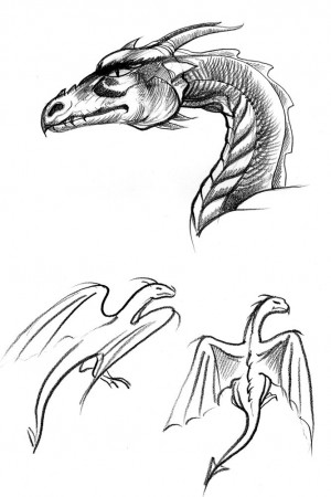 Art By-Products: Another Dragon Head and sketches