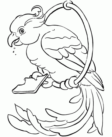 Pet Bird Coloring Pages | Free Printable Pet Coloring Pages and 