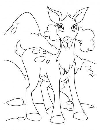 Deer pose coloring page | Download Free Deer pose coloring page 