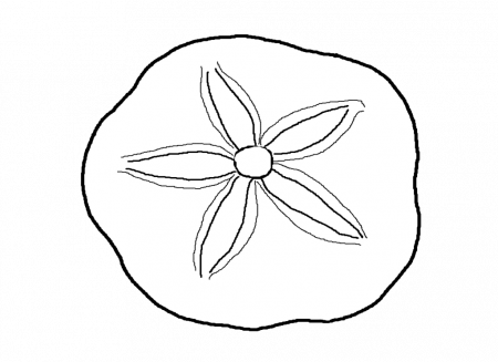 Seashell Coloring Pages - Free Coloring Pages For KidsFree 