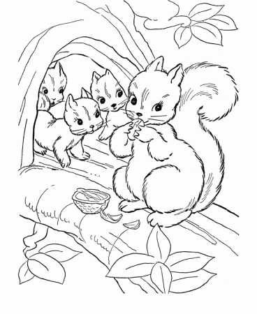Squirrel family animal Coloring Page | HelloColoring.com 