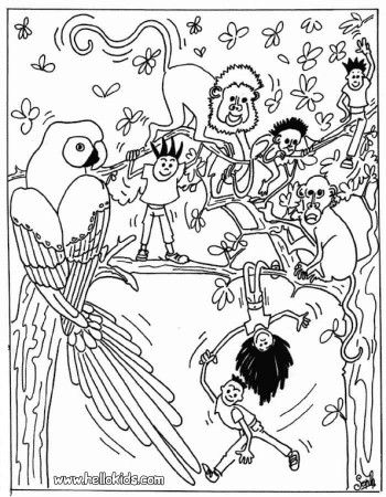 Jungle Coloring Pages (20) - Coloring Kids