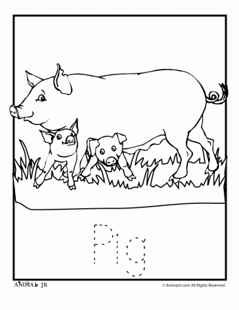 Pig coloring 돼지 색칠