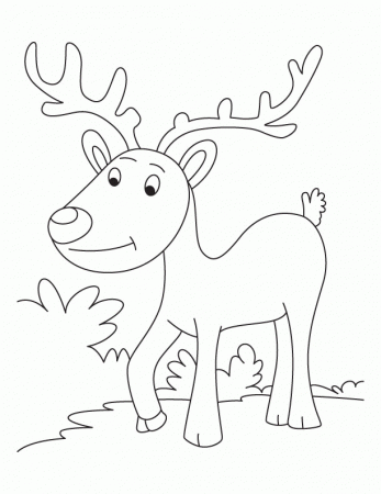 Happy Caribou Coloring Pages - Kids Colouring Pages