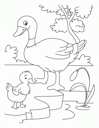 Duck and Duckling coloring page | Download Free Duck and Duckling 