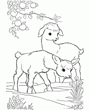 Printable Kid goats Coloring Page | HelloColoring.com | Coloring Pages
