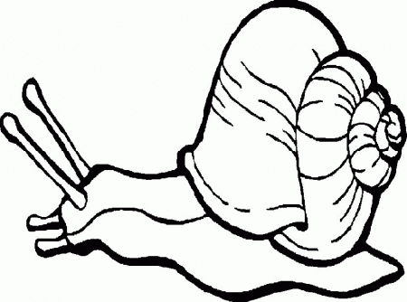 Snail Coloring Page| Free Snail Online Coloring