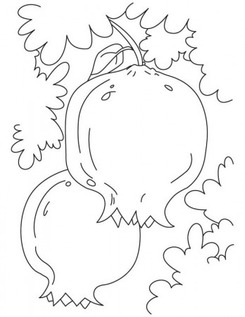 Kids Coloring Pages Seasonal Fruits | Fantasy Coloring Pages