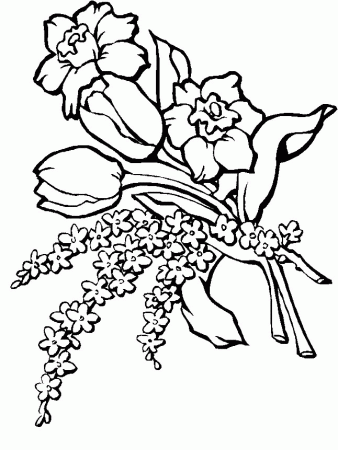 transmissionpress: Flower Arrangements to Gift Coloring Pages