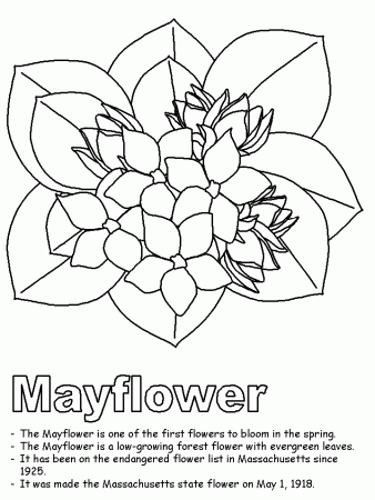 Mayflower Coloring Pages 690 | Free Printable Coloring Pages