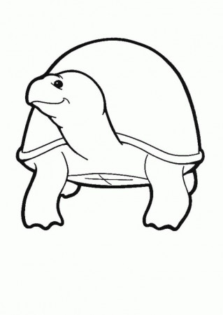 Tortoise Pictures To Colour - HD Printable Coloring Pages
