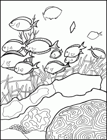 The great barrier reef Colouring Pages (page 2)