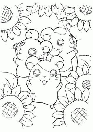 Happy Hamsters With Sun Flower Hamtaro Coloring Page - Cartoon 