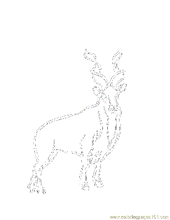 big buck Colouring Pages