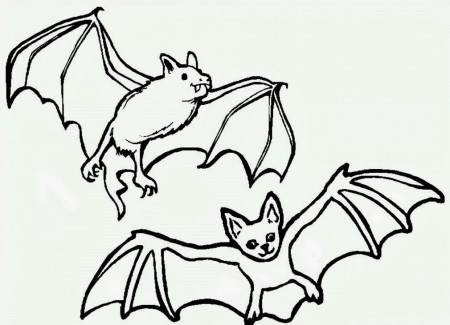 Bat Coloring Page Printable Free :Kids Coloring Pages | Printable 