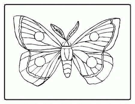 Kids Coloring Free Printable Very Hungry Caterpillar Coloring 