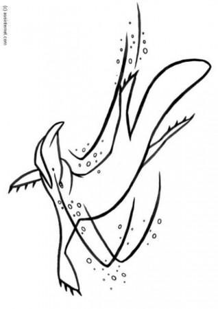 3 Platypus Coloring Pages | Free Coloring Page Site