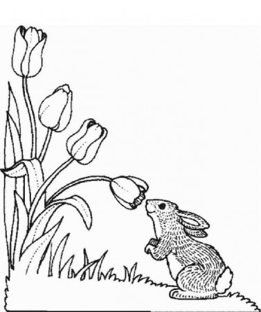 Print Rabbit Likes Flowers Coloring Pages Idea | ViolasGallery.