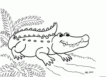 3414 Funny Printable Crocodile Animal Coloring Page To Print For 