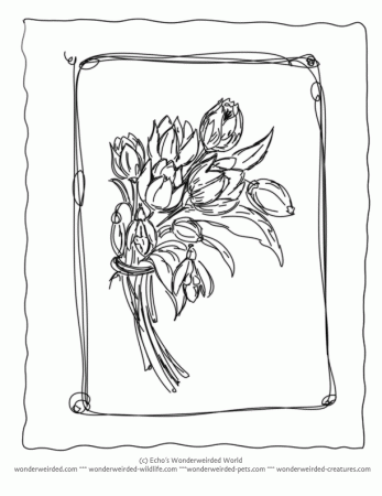 Spring Flower Coloring Pages,Our Spring Coloring Pages of Flowers