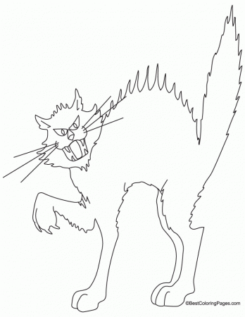 d cats Colouring Pages