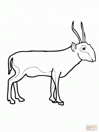 Saiga Antelope Coloring Page Online Jpg 147879 Antelope Coloring Page