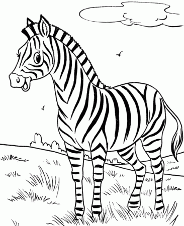 Printable happy-zebra-coloring-page - Coloringpagebook.com
