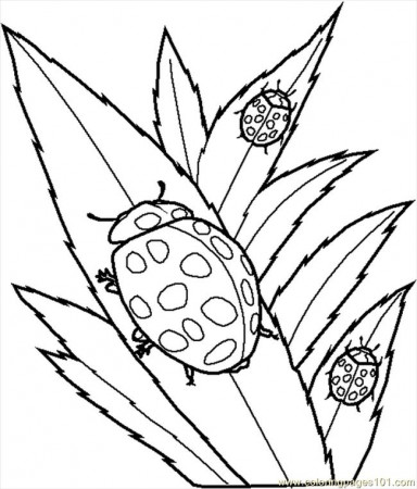 Airplane Coloring Pictures | Other | Kids Coloring Pages Printable