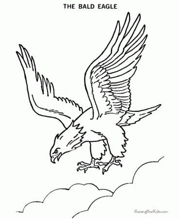 Bald Eagle Drawings - American Patriotic Symbol -002