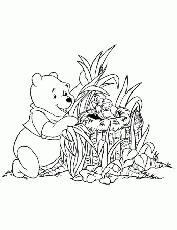 Cute Pooh Bear Looking At Baby Birds Coloring Page | Free 