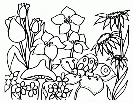 coloring pages of hawaiian flowers | Coloring Picture HD For Kids 