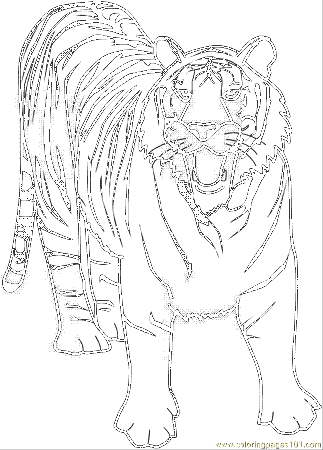 Tiger 7 Coloring Page
