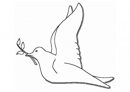 Coloring page peace dove - img 19403.
