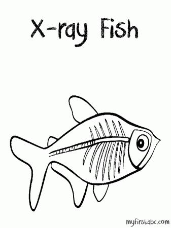 X RAY FISH Colouring Pages