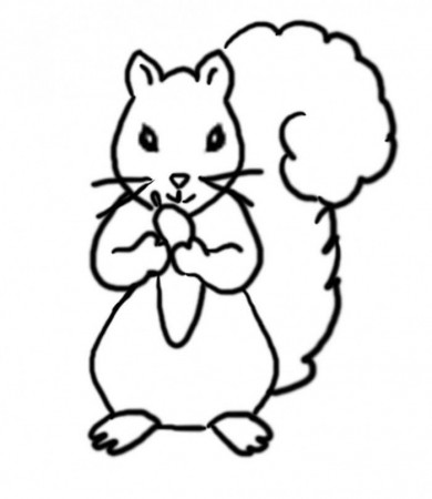 Squirrel Coloring Pages To Print | 99coloring.com