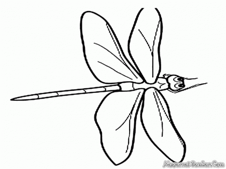 Dragonfly Coloring Page Id 23604 Uncategorized Yoand 187777 